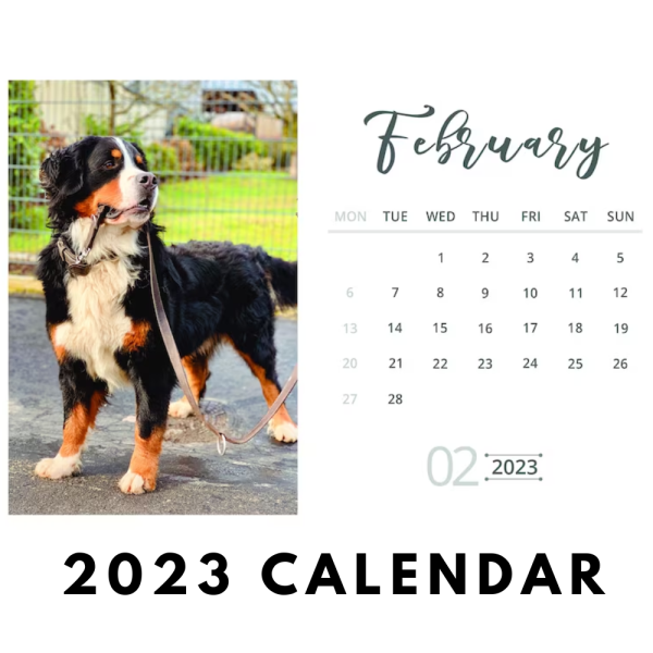 Customize Snapchat Calendar