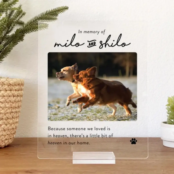 Pet Memorial Photoframe