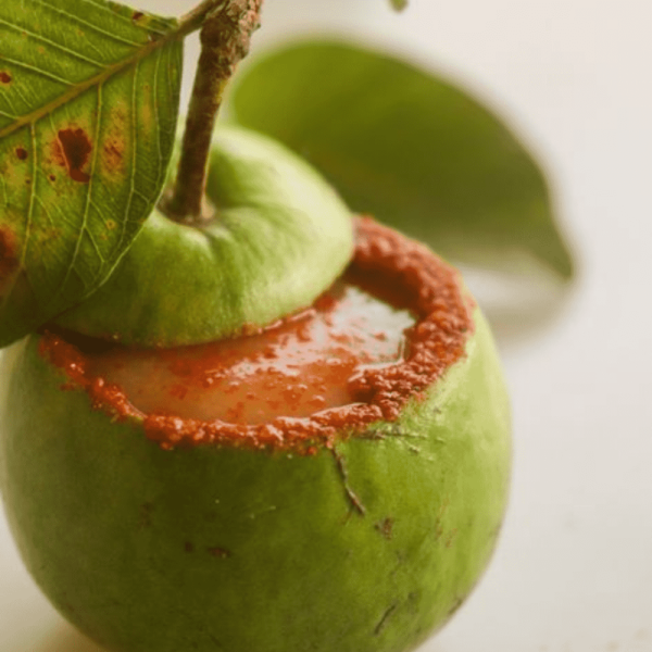Allahabad Surkha Guava with FREE Seeds