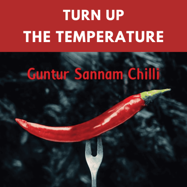 Guntur Sannam Chilli