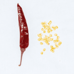 Guntur Sannam Chilli