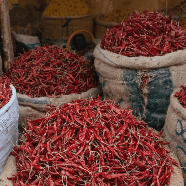Guntur Sannam Chilli