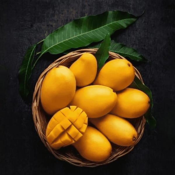 Langda Aam Mango