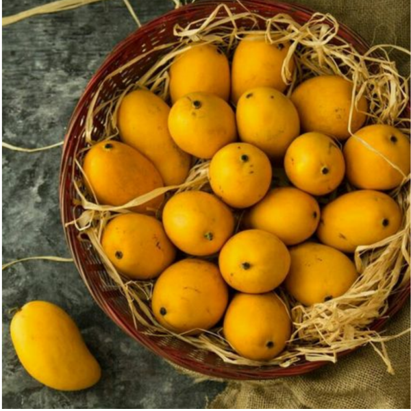 Rataul Mango