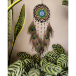 💌 Dream Catcher - Krishna