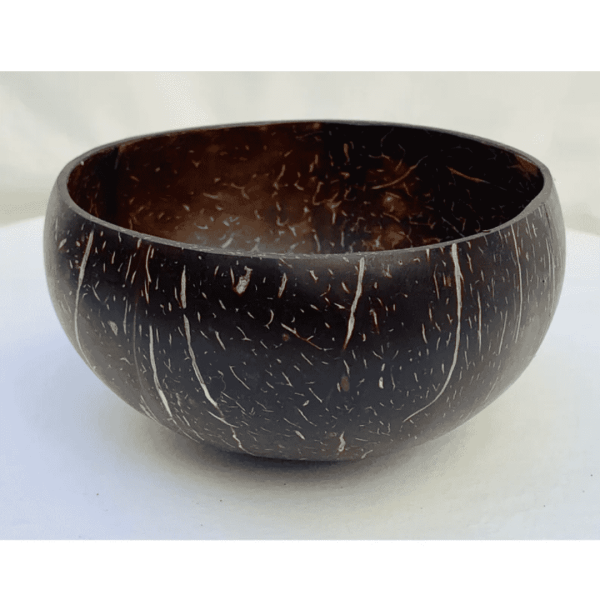 Natural Coconut Handcrafted Bowl - GI Tag (Kerala)