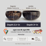 Natural Coconut Handcrafted Bowl - GI Tag (Kerala)