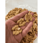 अखरोट / Walnuts (Jammu and Kashmir)