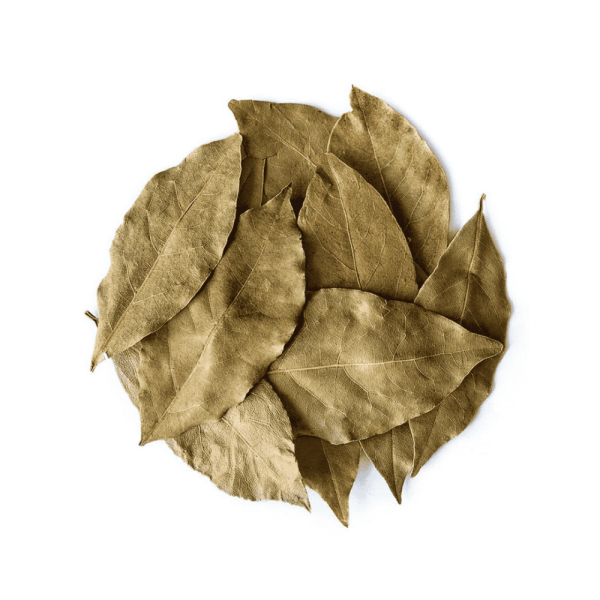 तेज पत्ता / Bay Leaf (Uttarakhand)