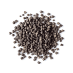 काली मिर्च / Black Pepper (Kerala)