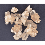 गोंद / Gum Tragacanth (Rajasthan)