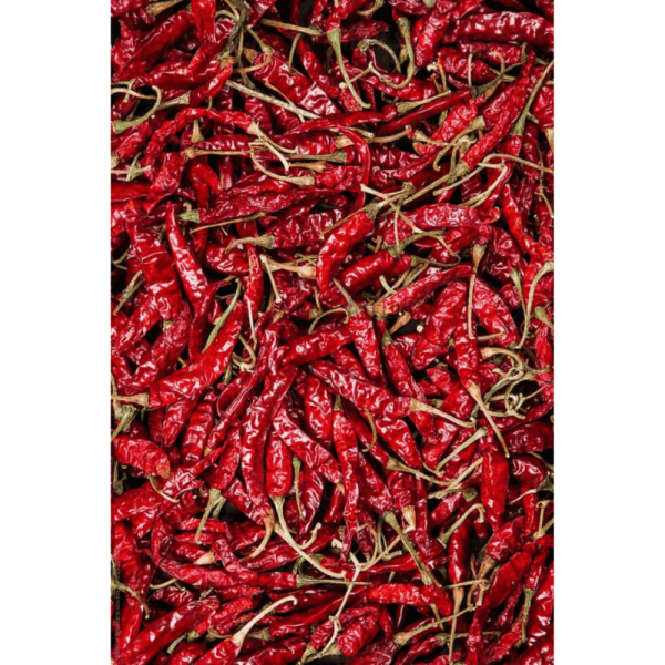 लाल मिर्च / Red Chili (Andhra Pradesh)