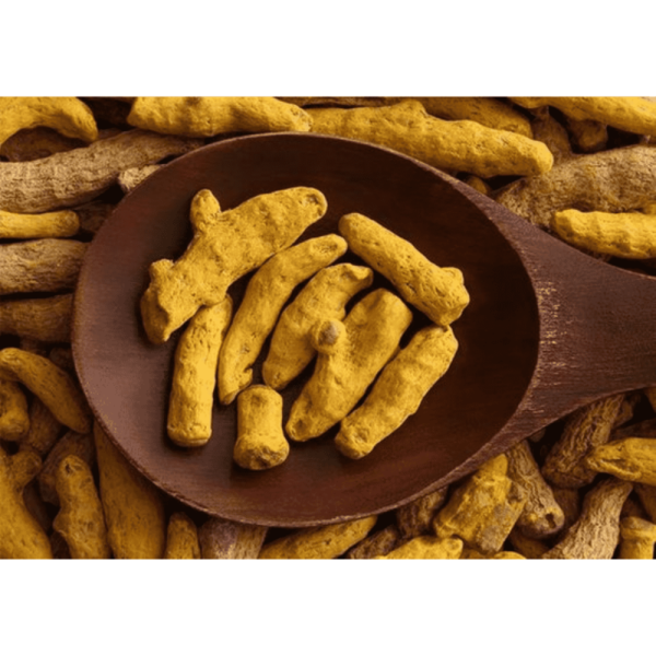 हल्दी / Turmeric ( Odisha )