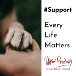 #Support - Dog Feeding Pipes