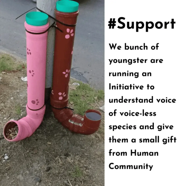 #Support - Dog Feeding Pipes