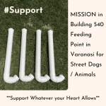 #Support - Dog Feeding Pipes