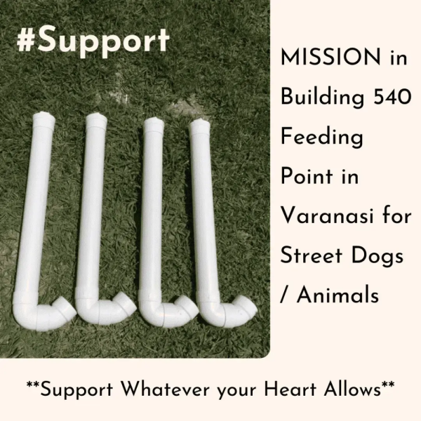 #Support - Dog Feeding Pipes