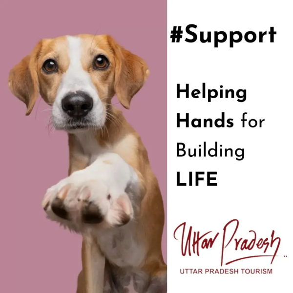 #Support - Free Medical Aid for Street Animals