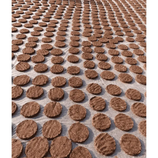 Cow Dunk 21pcs