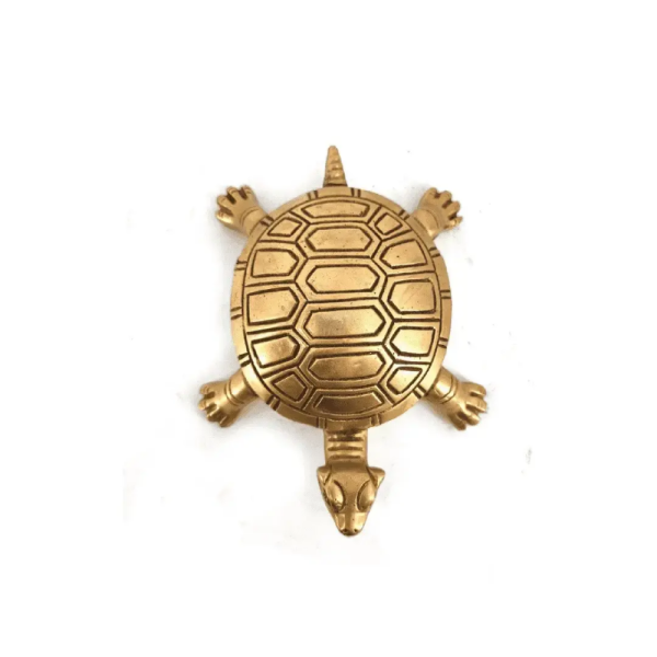 Holy Turtle - Vastu Shastra