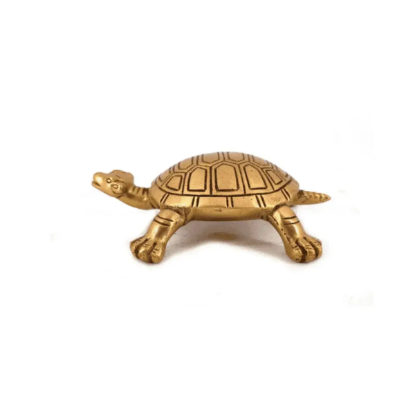 Holy Turtle - Vastu Shastra