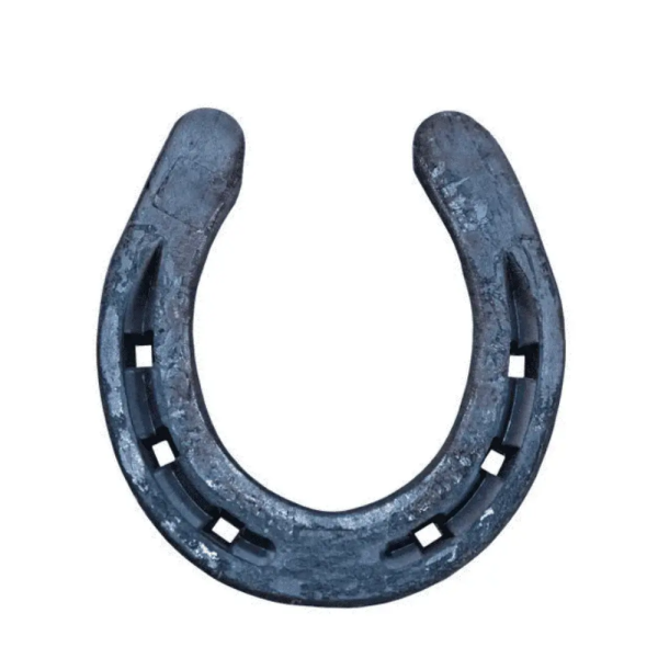 Original Black Horse Shoe Nail