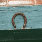 Original Black Horse Shoe Nail