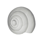 Puja Blowing Shankh Conch Shell