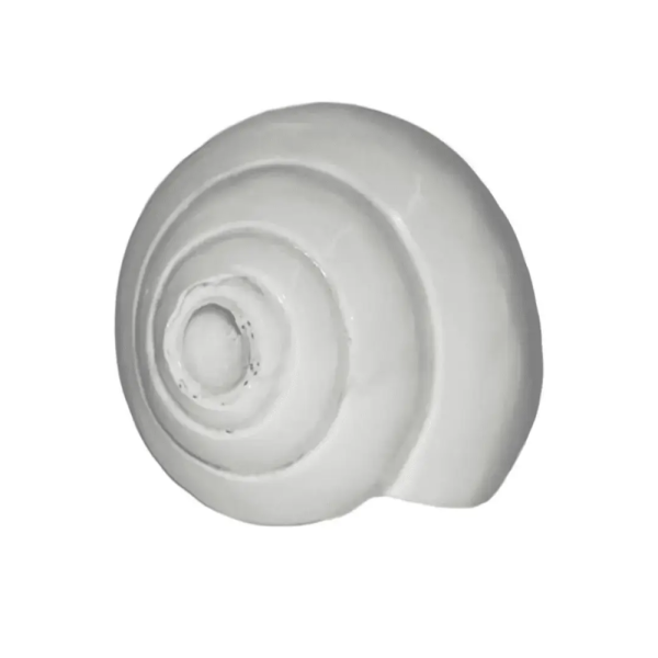 Puja Blowing Shankh Conch Shell