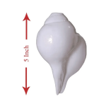 Puja Blowing Shankh Conch Shell