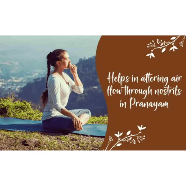 Yoga Danda Meditation Stick