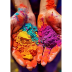 Holi