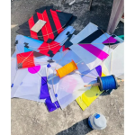 Makar Sankranti