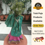 Tulsi Puja / Tulsi Vivah