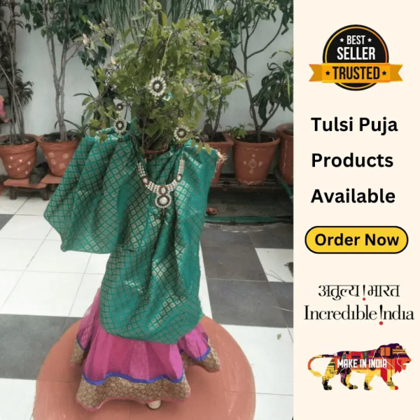 Tulsi Puja / Tulsi Vivah