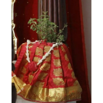 Tulsi Puja / Tulsi Vivah