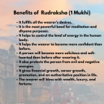 Original Rudraksha Beads ( 1 Mukhi ) - Nepal