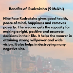 Original Rudraksha Beads ( 9 Mukhi ) - Nepal