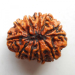 Original Rudraksha Beads ( 11 Mukhi ) - Nepal