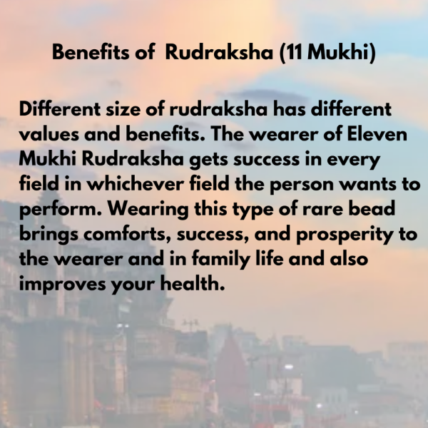 Original Rudraksha Beads ( 11 Mukhi ) - Nepal