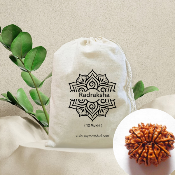 Original Rudraksha Beads ( 12 Mukhi ) - Nepal