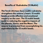Original Rudraksha Beads ( 13 Mukhi ) - Nepal