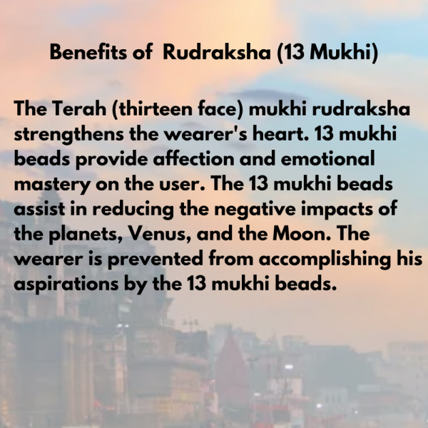 Original Rudraksha Beads ( 13 Mukhi ) - Nepal