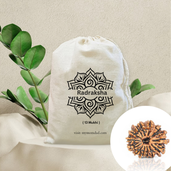 Original Rudraksha Beads ( 13 Mukhi ) - Nepal