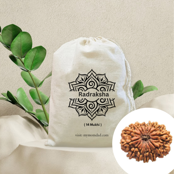 Original Rudraksha Beads ( 14Mukhi ) - Nepal