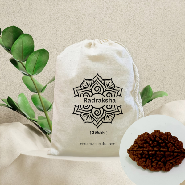 Original Rudraksha Beads ( 2 Mukhi ) - Nepal