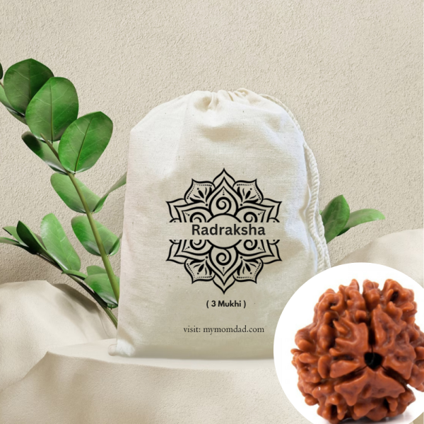 Original Rudraksha Beads ( 3 Mukhi ) - Nepal