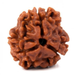 Original Rudraksha Beads ( 3 Mukhi ) - Nepal