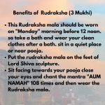 Original Rudraksha Beads ( 3 Mukhi ) - Nepal