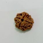 Original Rudraksha Beads ( 4 Mukhi ) - Nepal